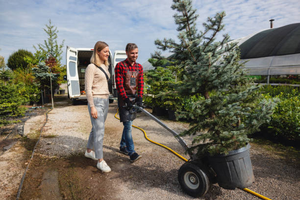 Best Tree Removal Cost  in Cascade Valley, WA